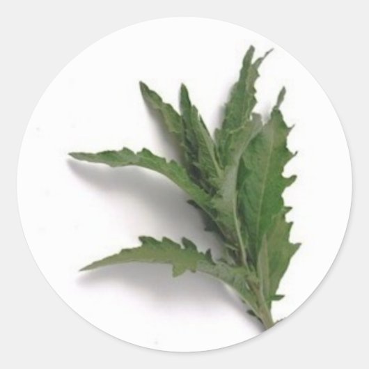 Epazote ラウンドシール (正面)