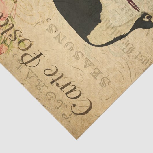 Ephemeraはがきアボケフランスのト鳥のデカップページ 薄葉紙 (詳細)