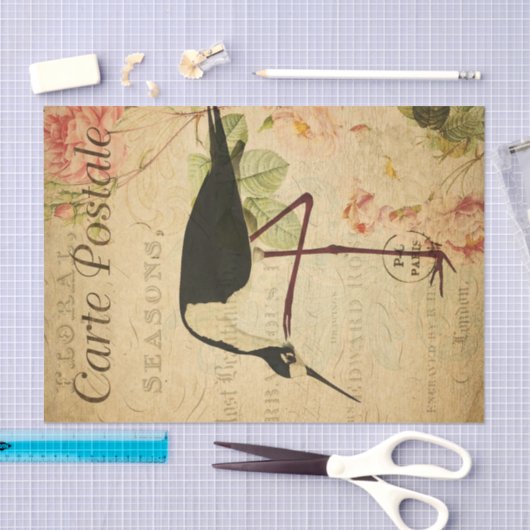 Ephemeraはがきアボケフランスのト鳥のデカップページ 薄葉紙 (クラフト)