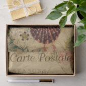 Ephemeraはがきシーフランスのシェルの切り離し 薄葉紙 (ギフト)