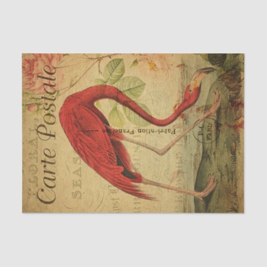 Ephemeraはがきフラミフランスのンゴフローラのデコパージュ 薄葉紙 (正面)