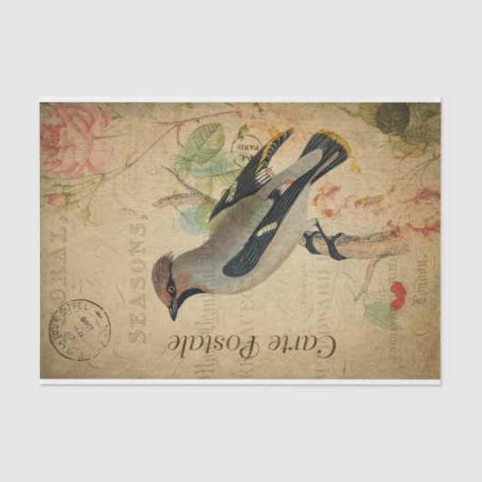 Ephemeraはがきフランスのの鳥の切り離し 薄葉紙 (正面)