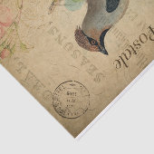 Ephemeraはがきフランスのの鳥の切り離し 薄葉紙 (詳細)
