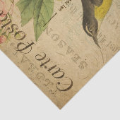 Ephemeraはがきフランスのイエローバードの切り離し 薄葉紙 (詳細)