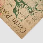 Ephemeraはがきフランスのカエルフローラ切り離し 薄葉紙 (詳細)