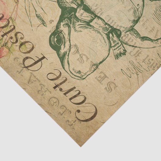 Ephemeraはがきフランスのカエルフローラ切り離し 薄葉紙 (詳細)