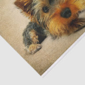 Ephemeraはがきフランスのテリア犬のデコップページ 薄葉紙 (詳細)