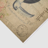 Ephemeraはがきフランスのトゥーカン鳥のデコップページ 薄葉紙 (詳細)