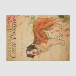 Ephemeraはがきフランスのドッグフローラの分離 薄葉紙