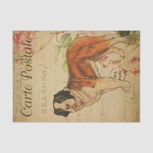 Ephemeraはがきフランスのドッグフローラの分離 薄葉紙 (正面)