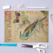 Ephemeraはがきフランスのバードバタフライ切り 薄葉紙 (クラフト)