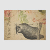 Ephemeraはがきフランスのフクロウピンクのバラの切り離し 薄葉紙 (正面)