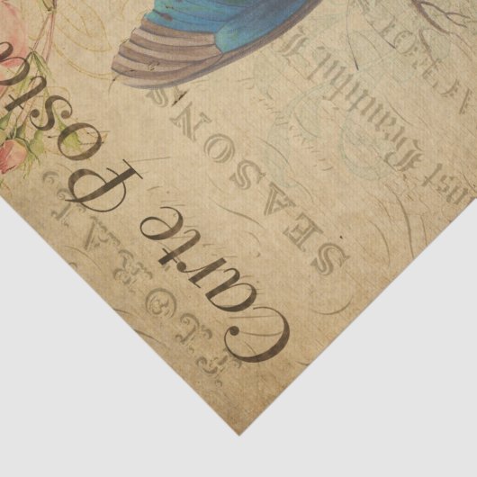 Ephemeraはがきフランスのブルーバタフライデコップページ 薄葉紙 (詳細)