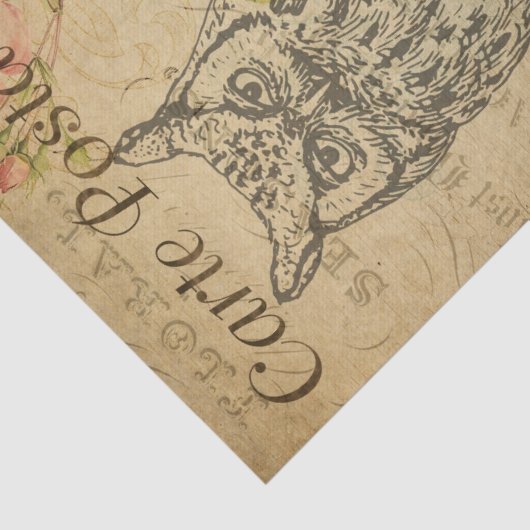 Ephemeraはがきフランスのラインアートフクロウの切り離し 薄葉紙 (詳細)