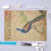 Ephemeraはがきフランスの孔雀デコップページ 薄葉紙 (クラフト)