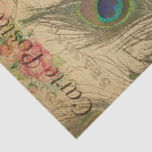 Ephemeraはがきフランスの孔雀フェザーデクページ 薄葉紙 (詳細)