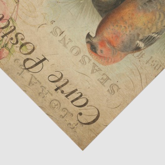 Ephemeraはがきフランスの鳥のフローラの切り離し 薄葉紙 (詳細)