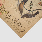 EphemeraはがきフランスのFlycatcher鳥のデコップページ 薄葉紙 (詳細)