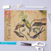 EphemeraはがきフランスのFlycatcher鳥のデコップページ 薄葉紙 (クラフト)