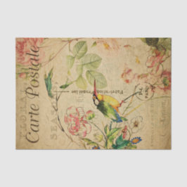 EphemeraはがきフランスのKingfisher Bird Decopage 薄葉紙