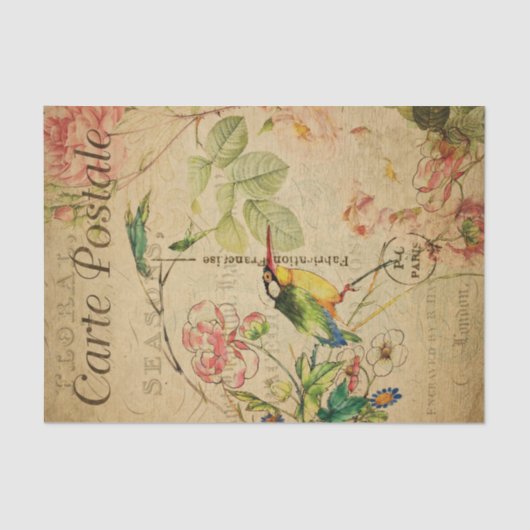 EphemeraはがきフランスのKingfisher Bird Decopage 薄葉紙 (正面)