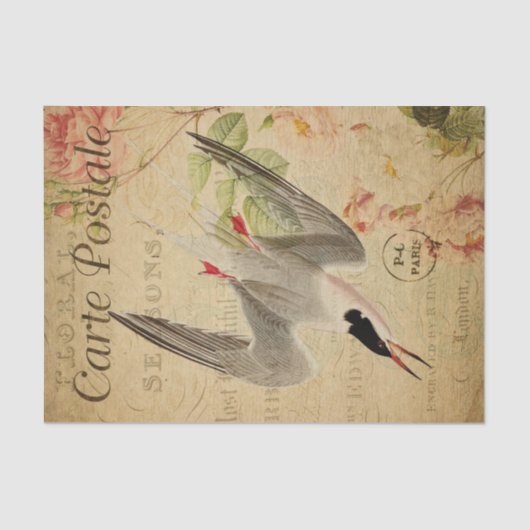 EphemeraはがきフランスのTern Bird Decopage 薄葉紙 (正面)