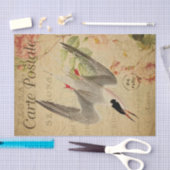 EphemeraはがきフランスのTern Bird Decopage 薄葉紙 (クラフト)