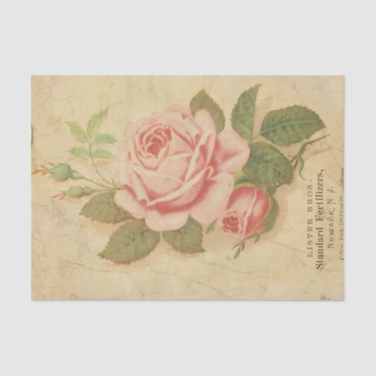 Ephemeraシートデザインシリーズ#10 薄葉紙 (正面)