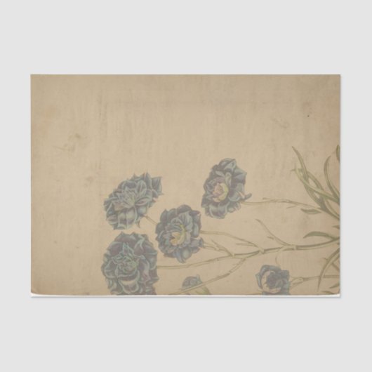 Ephemeraシートデザインシリーズ#1 薄葉紙 (正面)