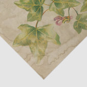 Ephemeraシートデザインシリーズ#5 薄葉紙 (詳細)