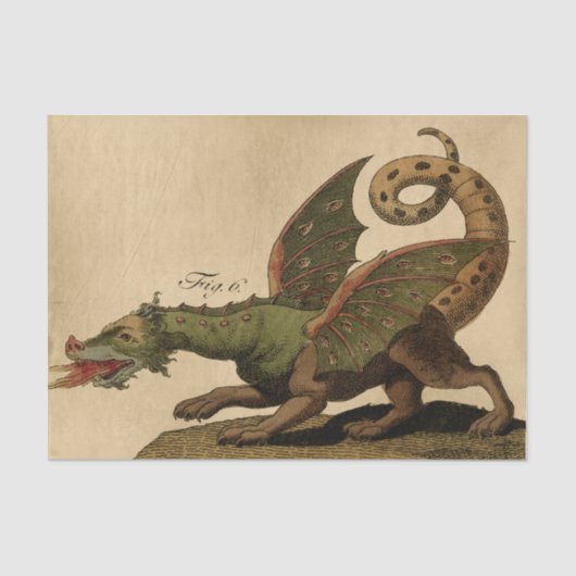 Ephemeraシートデザインシリーズ#9 薄葉紙 (正面)