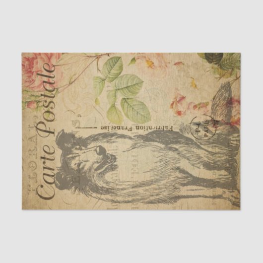 EphemeraフレンチポストカードラフCollie Dog Decopage 薄葉紙 (正面)