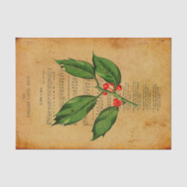 Ephemera Christian Song A Babe is 生まれ Decompage 薄葉紙