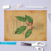 Ephemera Christian Song A Babe is 生まれ Decompage 薄葉紙 (クラフト)