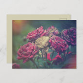 Ephemera Journalクラフトハガキバラ ポストカード (正面/裏面)