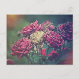 Ephemera Journalクラフトハガキバラ ポストカード