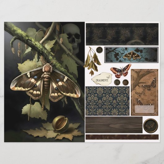 Ephemera Sheet - Woodland Moth (正面)