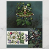Ephemera Sheet - Woodland Moth (正面)