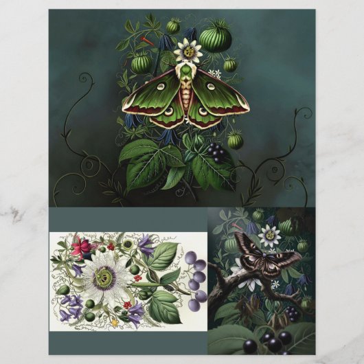 Ephemera Sheet - Woodland Moth (正面)