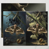 Ephemera Sheet - Woodland Moth (正面/裏面)