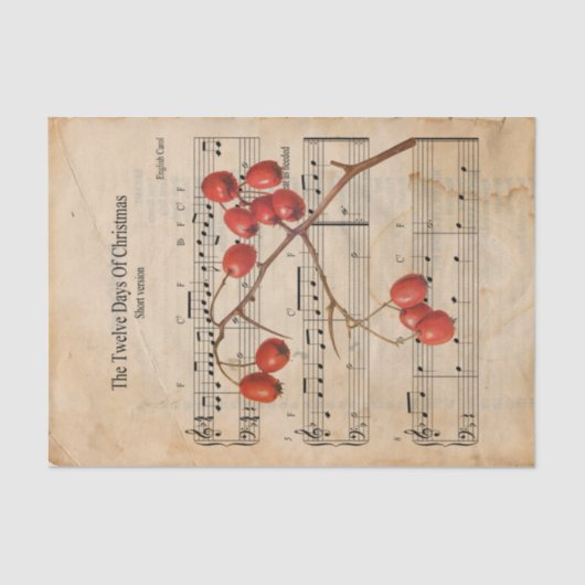 Ephemera The 12の日のクリスマス・デコパージュ 薄葉紙 (正面)