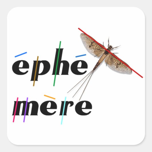 éphémère instantané スクエアシール (正面)