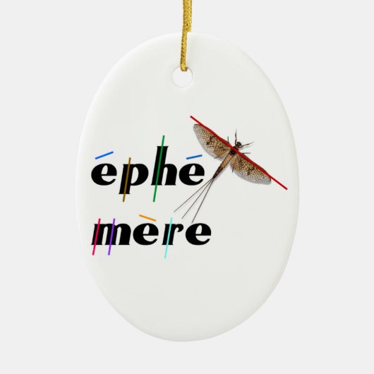 éphémère instantané セラミックオーナメント (正面)