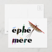 éphémère instantané ポストカード (正面/裏面)