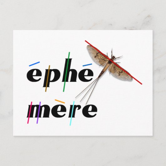 éphémère instantané ポストカード (正面)