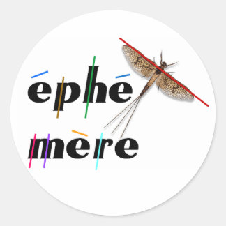 éphémère instantané ラウンドシール