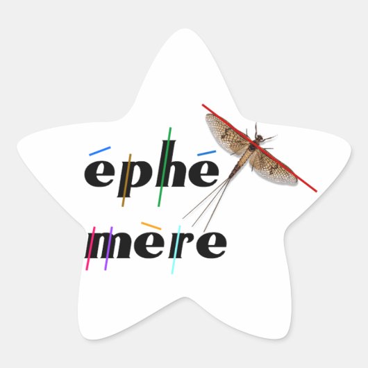 éphémère instantané 星シール (正面)