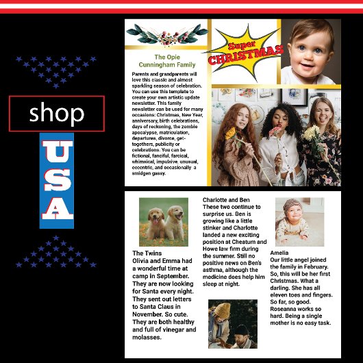 Epic Family UpdateニュースレターChristmasおもしろいTimes チラシ