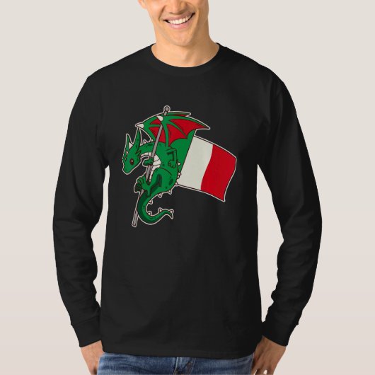 Epic Italian Dragon Proud Italy Flag Tシャツ (正面)