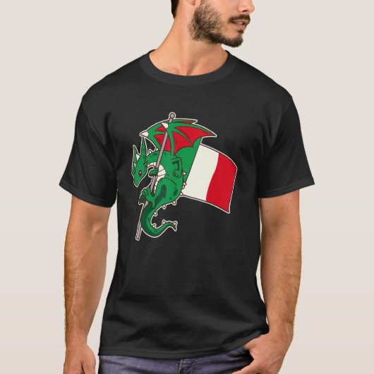 Epic Italian Dragon Proud Italy Flag Tシャツ (正面)